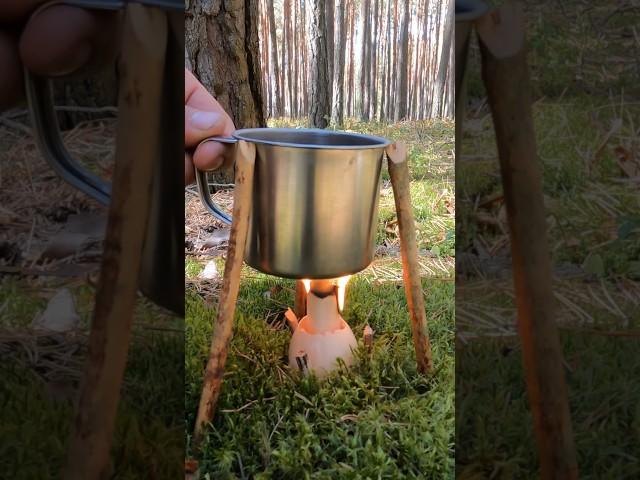 Survival Skills: How to Cook Eggs in the Wild #bushcraft #survival #camping #lifehack