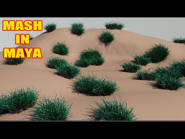 How to use mash on mesh in Maya tutorial