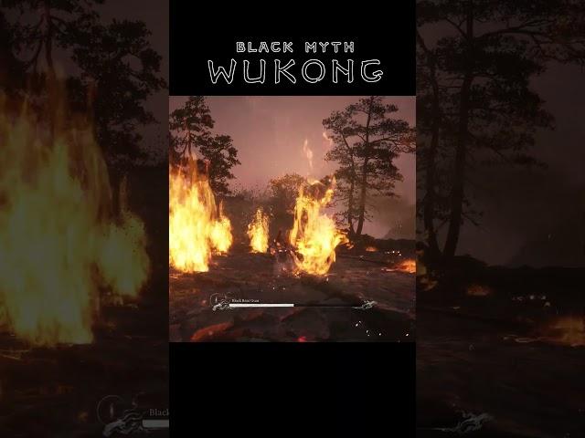 Black Myth Wukong: Black Bear Guai boss fight