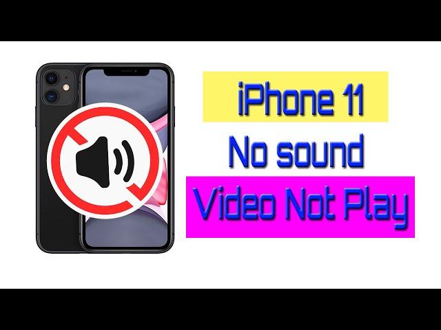 iPhone 11 No speaker sound and video not play