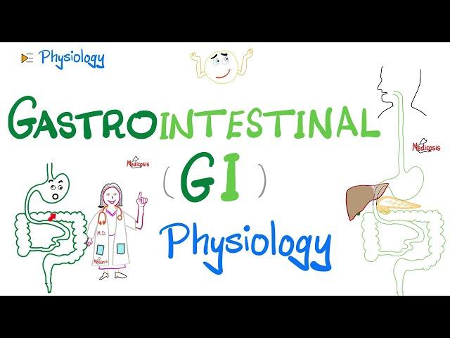 Gastrointestinal (GI) Physiology…The Basics (Introduction) | Physiology Series