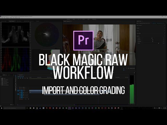 Premiere CC 2015: Import/Color Grading RAW Black Magic Cinema DNG Files