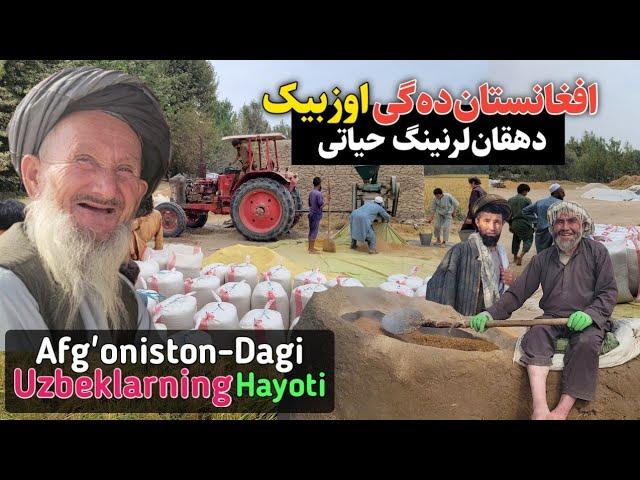 Afg'oniston-dağı uzbek dehqonlarining hayoti || Uzbek Tv