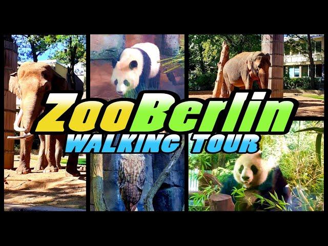 ZOO BERLIN walking tour - Zoologischer Garten Berlin - Germany (4k)