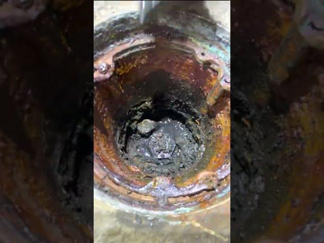 You'll Never Guess What I Found In The Drain