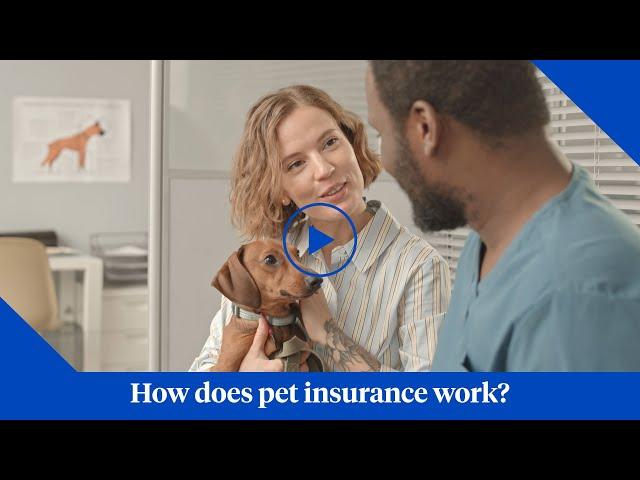 How Does Pet Insurance from Nationwide Work?