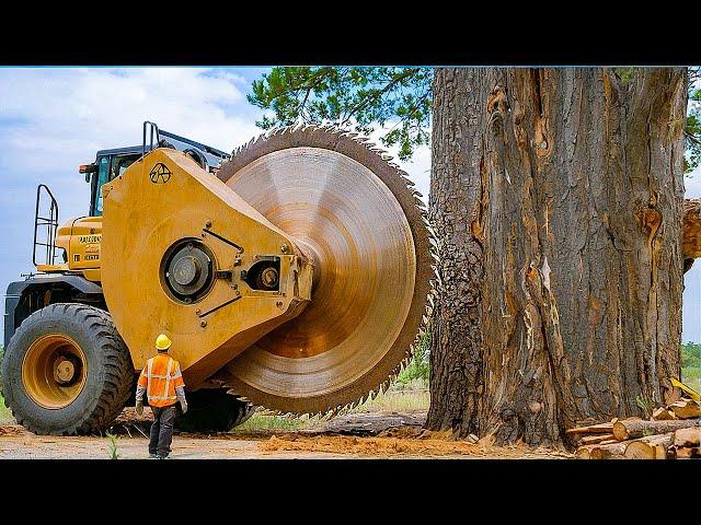 Extreme Dangerous Fastest Big Chainsaw Cutting Tree Machines | Monster Stump Removal Excavator #30