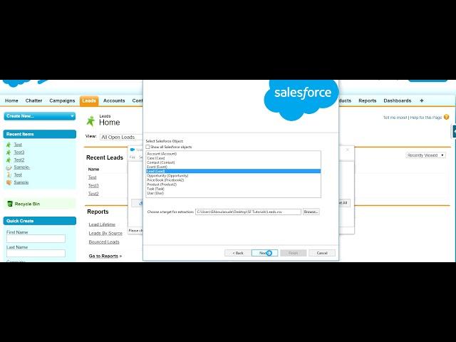 Salesforce.com - How to Mass Update Records using Data Loader