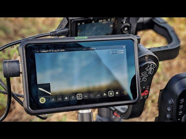 Atomos Shinobi Hands On | More than a monitor!