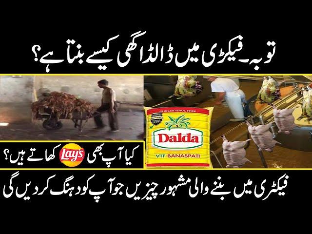 Dalda Banaspati Making Process in factory in Urdu Hindi | Urdu cover