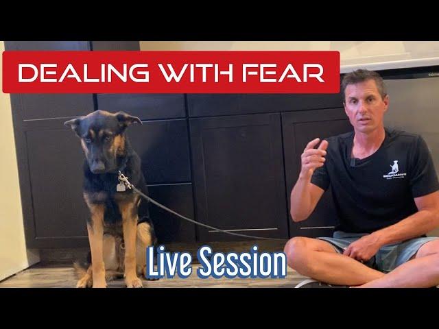 Learn how to work a fearful dog and train a solid name command