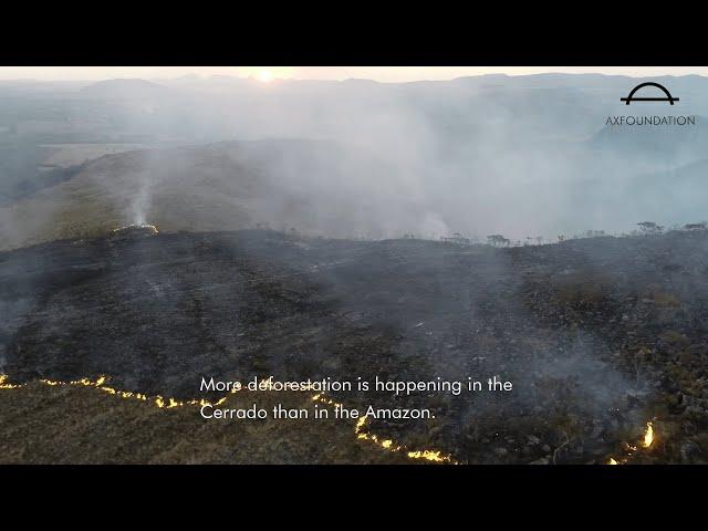 Is it possible to stop deforestation from Soy in the Cerrado, Brazil?