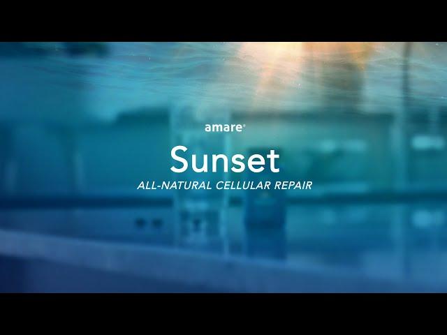 Amare Sunset Overview with Dr. Shawn Talbott