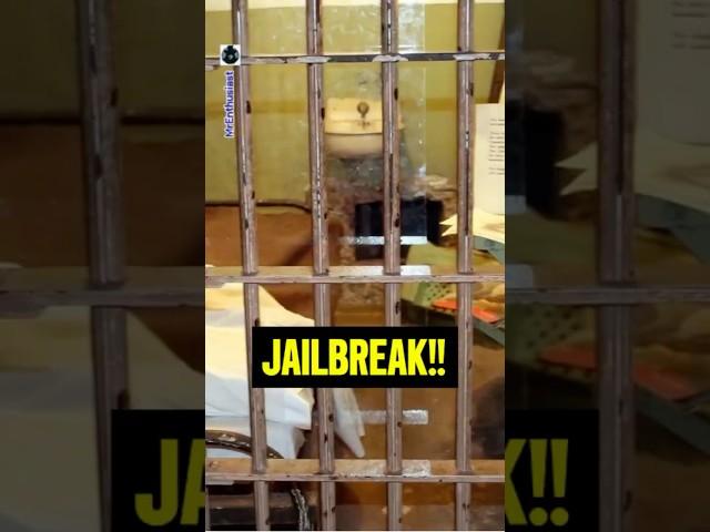 JAILBREAK, The Great Alcatraz Escape, #interesting #viralvideo