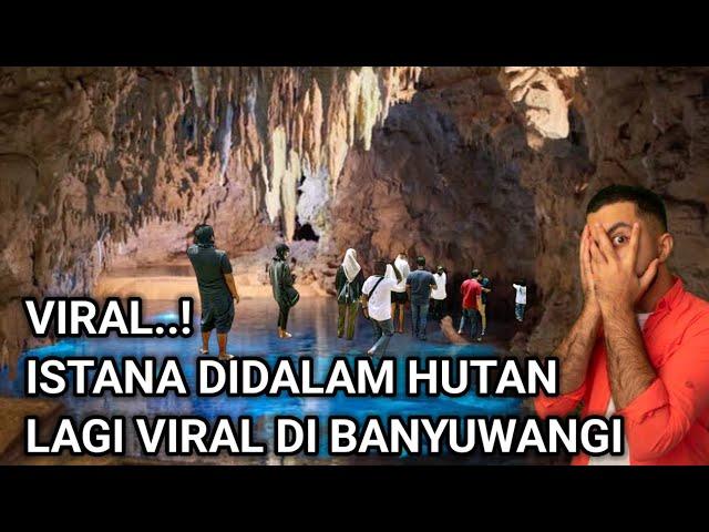 VIRAL..! ISTANA DIDALAM ALAS PURWO YANG LAGI VIRAL DI BANYUWANGI