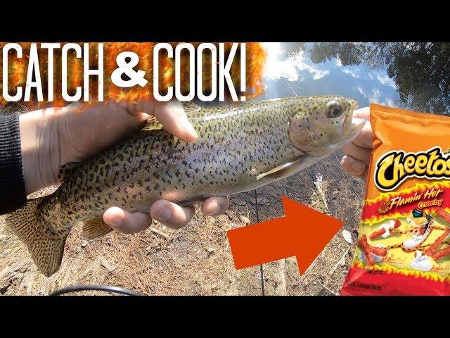 Flamin' Hot Cheetos Trout! CATCH AND COOK!! (Pond Trout Fishing)