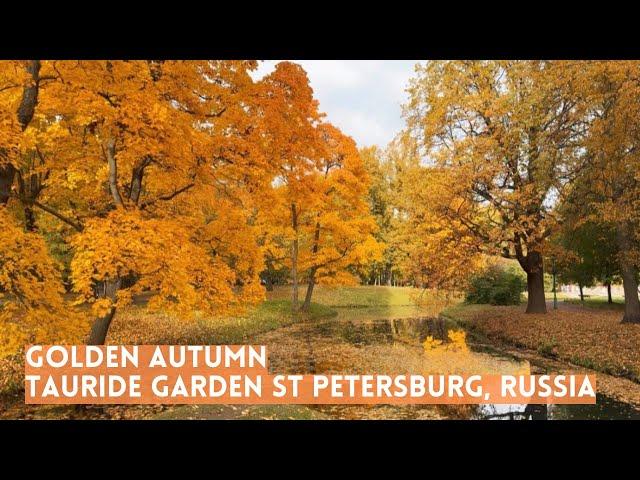 Golden Autumn in Tauride (Crimean) Garden in St Petersburg, Russia 2024