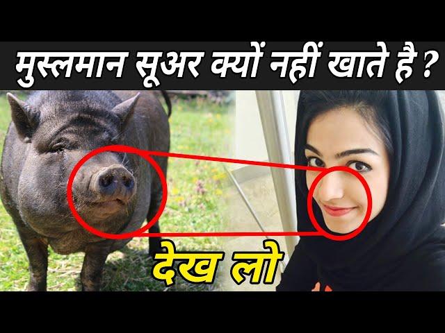 जानिए इस्लाम में सूअर का मांस खाना हराम क्यों है ? | Why Pork Is Haram In Islam In Hindi