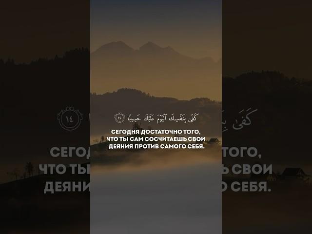 Не пролистывай,слушай и размышляй #quran #коран #люхайдан