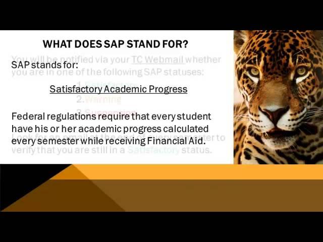 39  WHAT DOES SAP STAND FOR