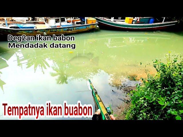 BANYAK YANG HERAN DI SPOT INI IKANNYA BABON2 || DEG2AN KALAU BABON TIBA2 DATANG..!!