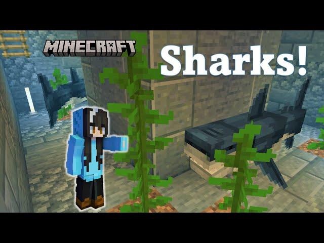 Insane Craft: I built a SHARK TANK in my supervillain base in Minecraft