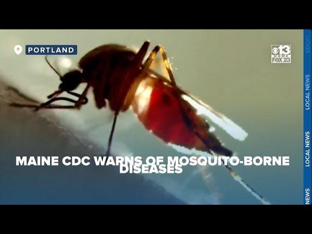 Maine CDC warns of increased risk of mosquito-borne diseases