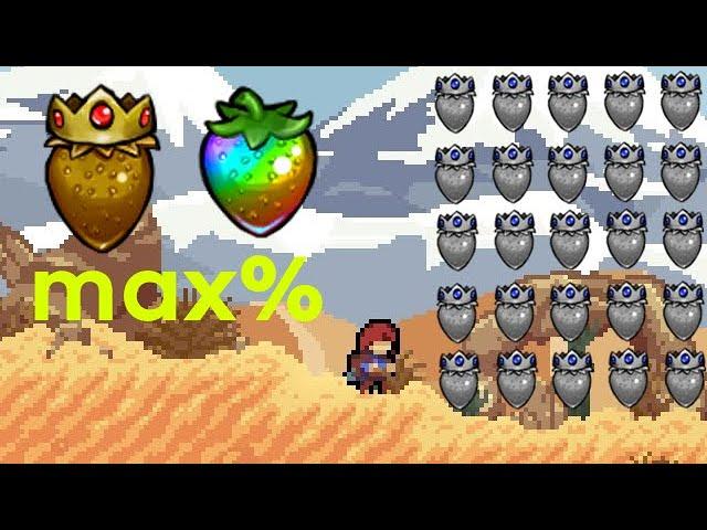 [Strawberry Jam] Advanced Lobby MAX% (ALL Silvers + Golden + Rainbow)