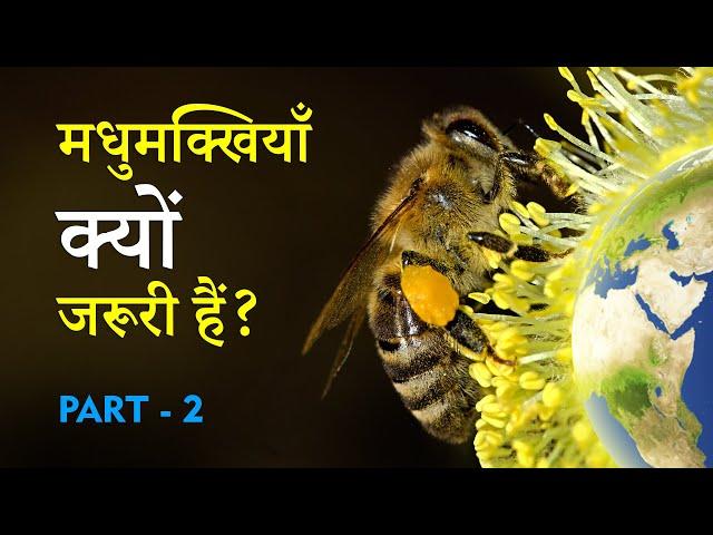 Why bees are important? मधुमक्खियाँ क्यों जरूरी हैं? PART - 2 in Hindi | English sub by Dear Master