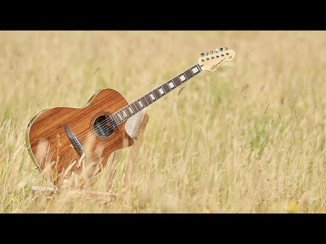 Vintage Guitars Revo Elektra // Full Review & Demo...