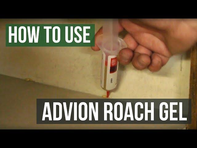 How To Use Advion Roach Bait Gel- Eliminate German Roaches