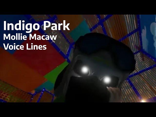 Indigo Park - Mollie Macaw Voice Lines