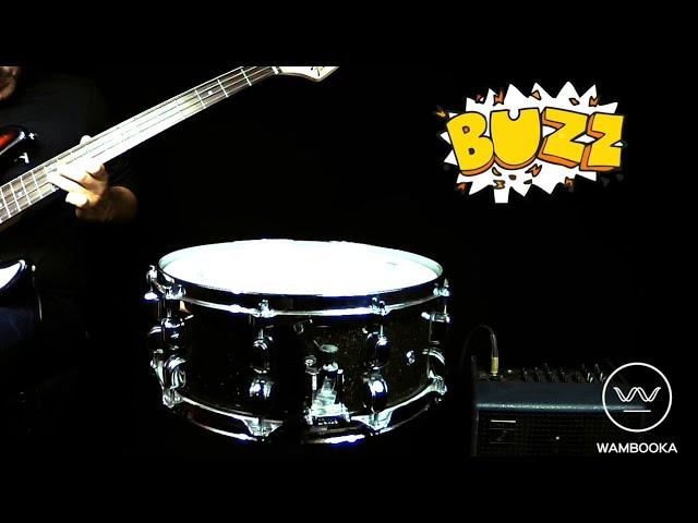 Snare Buzz Stop