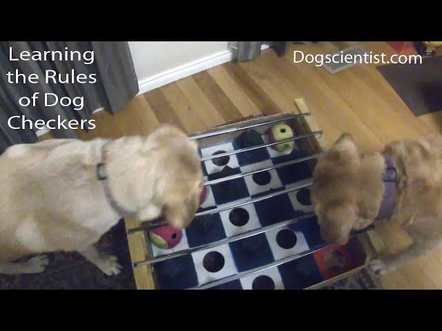 Learning the Rules of Dog Checkers