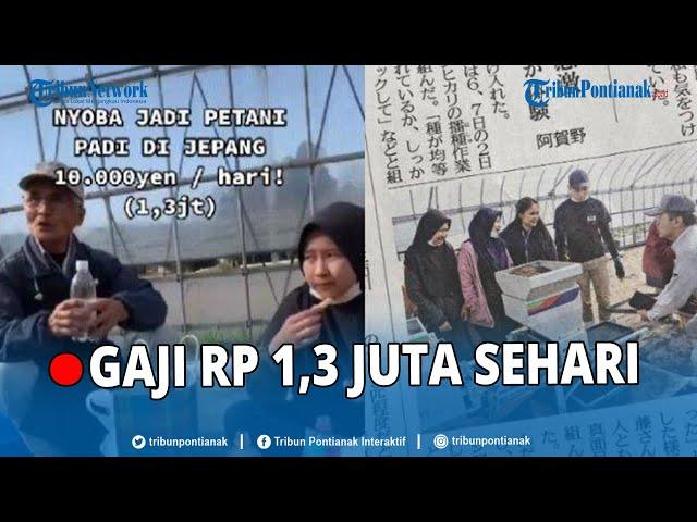  VIRAL Mahasiswi Indonesia Kerja Jadi Petani di Jepang, Digaji Rp 1,3 Juta Sehari