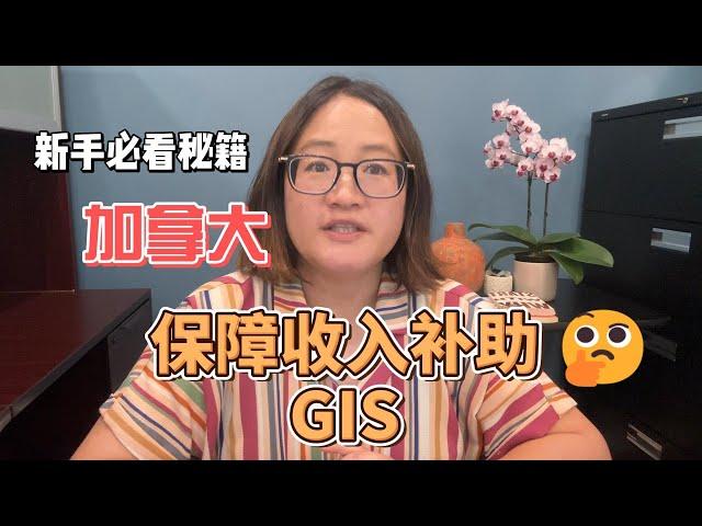 保障收入补助GIS 详解