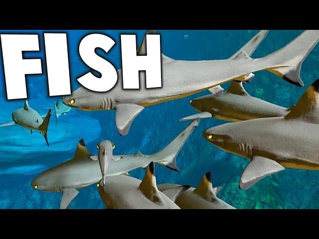 BEWARE THE NEW SHARKS! HUGE UPDATE! - Feed and Grow Fish Gameplay