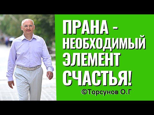 Энергия счастья, или прана, которая нужна нам для жизни! Торсунов лекции.