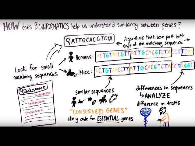 What is Bioinformatics?