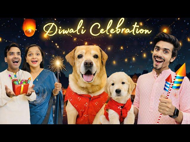 Diwali Celebration With Family | Leo Or Reo Ne Fode Patake | Anant Rastogi