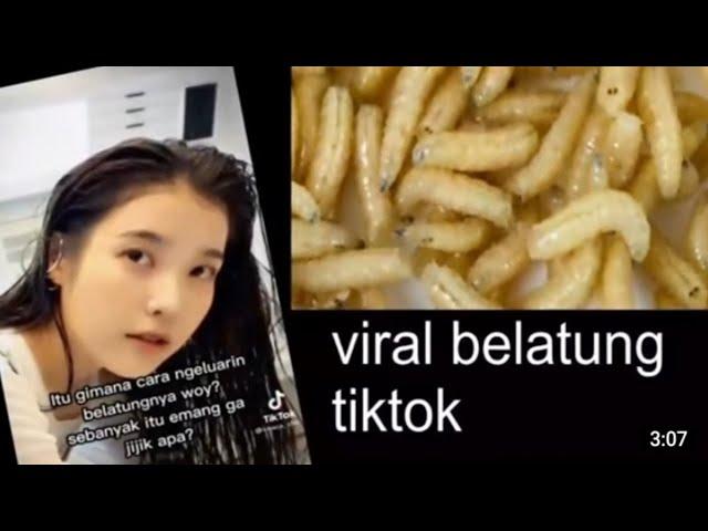 VIRAL BELATUNG DI TIKTOK FULL VIDEO!!