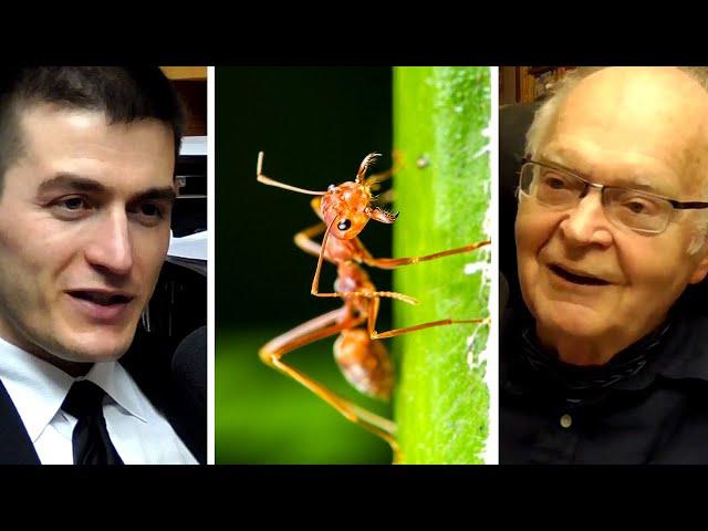 Donald Knuth: Ant Colonies and Human Cognition | AI Podcast Clips