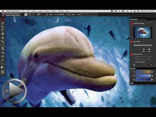 Getting to know the photo art tools in Painter Essentials 8