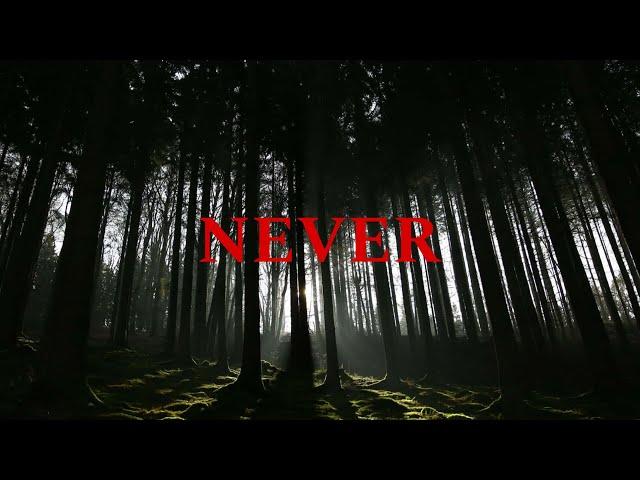 (FREE) Zach Bryan x Noah Kahan Type Beat "Never" | Country Folk Instrumental