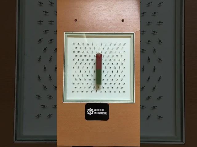 Magnetic fields demonstration 