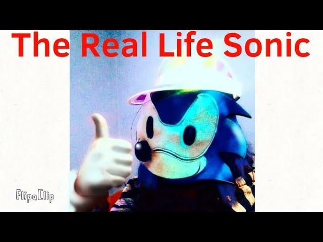 Sonic in Real Life Google Ads Tutorial