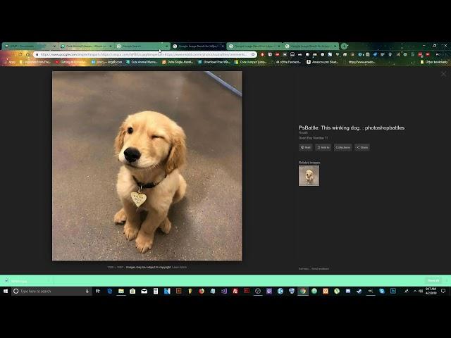 2023 Gimp Basics and How to Make a Meme -Tutorial