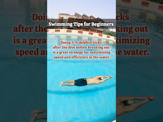 Fast Swimming Tips, Power of Dive & Dolphin Kick #learnswimming #swimminglessons #swimmingtips