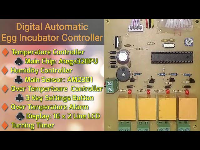 Digital Egg Incubator Controller Review