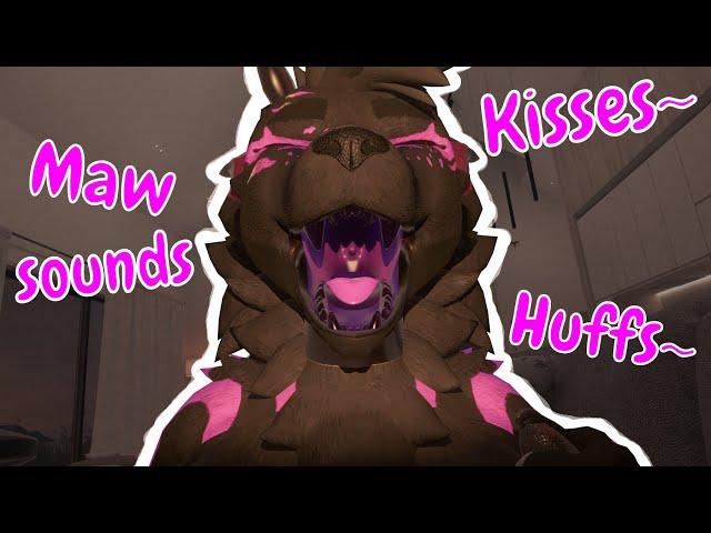 FURRY ASMR | Maw sounds